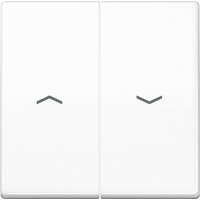 Jung Wippe Symbole aws für Taster AS 591-5 P WW - AS591-5PWW von Jung
