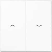 Jung Wippe Symbole aws für Taster LS 995 P WW von Jung