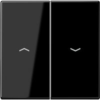 Jung Wippe Symbole sw für Taster LS 995 P - LS995PSW von Jung