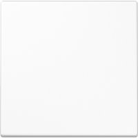 Jung Wippe aws für Taster LS 990 WW - LS990WW von Jung