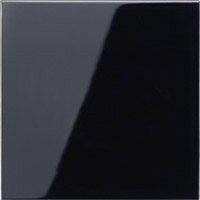 Jung - 1fach Abdeckung Wechselschalter Schwarz LS990SW 1 St. von Jung