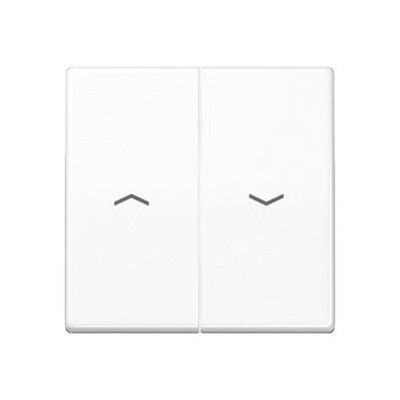 Zentralplatte Jalousie AS500 aws glz Pfeile Symbol Pfeile Zentralplatte Jalousie AS500 aws glz Pfeile Symbol Pfeile von Jung