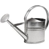 Gießkanne 10l silber MET verz. von Jungheinrich PROFISHOP