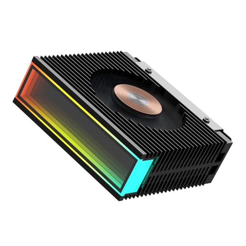 Jungle Leopard S50 M.2 2280 ARGB Festplatte Kühlkörper PWM Dual Fan Solid State Drive Kühler M2 SSD Kühler 5V 3Pin adressierbare RGB Sync SSD Kühler mit Thermal Pad (Black) von Jungle Leopard