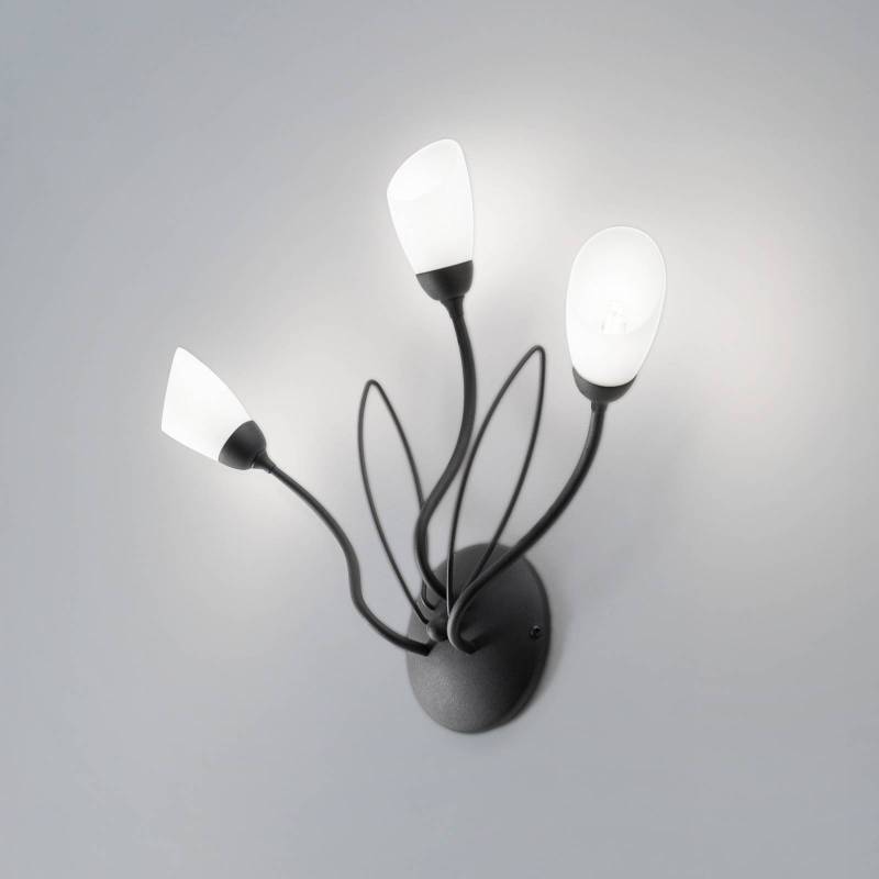Wandleuchte Gloriosa, schwarz, Glas, 3-flammig von Jupiter