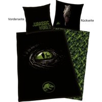 Jurassic World Wendebettwäsche "Jurassic World", (2 tlg.), mit tollem Motiv von Jurassic World