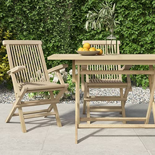 Juroupi Gartenstühle 2 STK. Garten StüHle Relaxsessel Garten Gartensessel Outdoor GartenstüHle Klappbar Grau 56x61x89 cm Massivholz Teak von Juroupi