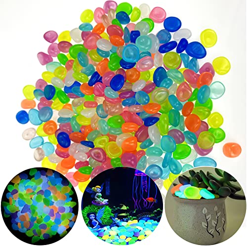 Leuchtsteine Bunt,Jusduit 300 Stück Nachtleuchtende Steine Kieselsteine Dekosteine Bunt,Fluoreszierende Steine Leuchtsteine Stein für Garten Gehweg Aquarium Kinderzimmer Dekor,Garten Dekorative Steine Leuchtsteine Bunt,Jusduit 300 Stück Nachtleuchtende Steine Kieselsteine Dekosteine Bunt,Fluoreszierende Steine Leuchtsteine Stein für Garten Gehweg Aquarium Kinderzimmer Dekor,Garten Dekorative Steine von Jusduit
