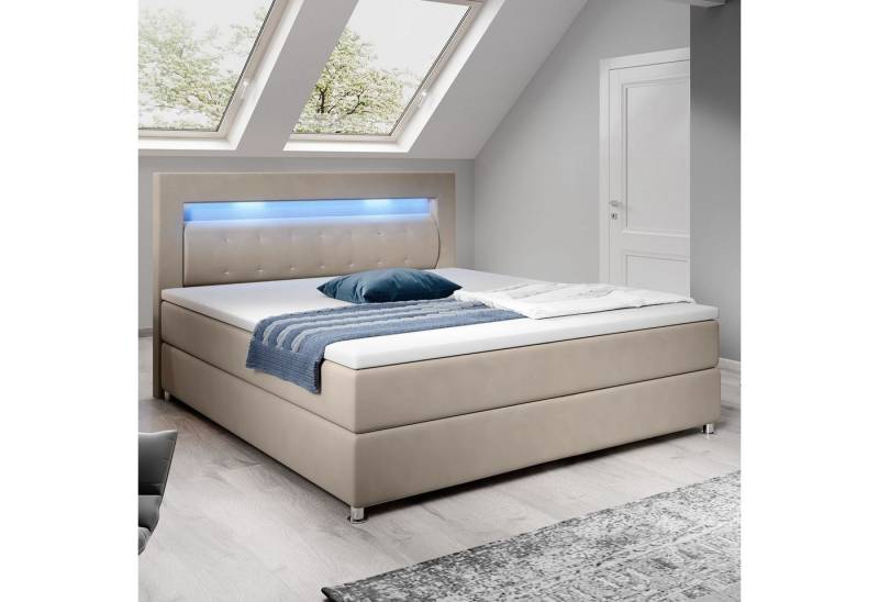 Juskys Boxspringbett Vancouver, 120x200 cm, Bonell-Federkernmatratzen, Topper, LED-Beleuchtung von Juskys