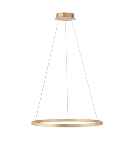 Just Light Pendellampe Hängeleuchte Wohnzimmerlampe dimmbar Ring Design messing LED H 120cm Just Light Pendellampe Hängeleuchte Wohnzimmerlampe dimmbar Ring Design messing LED H 120cm von Just Light.