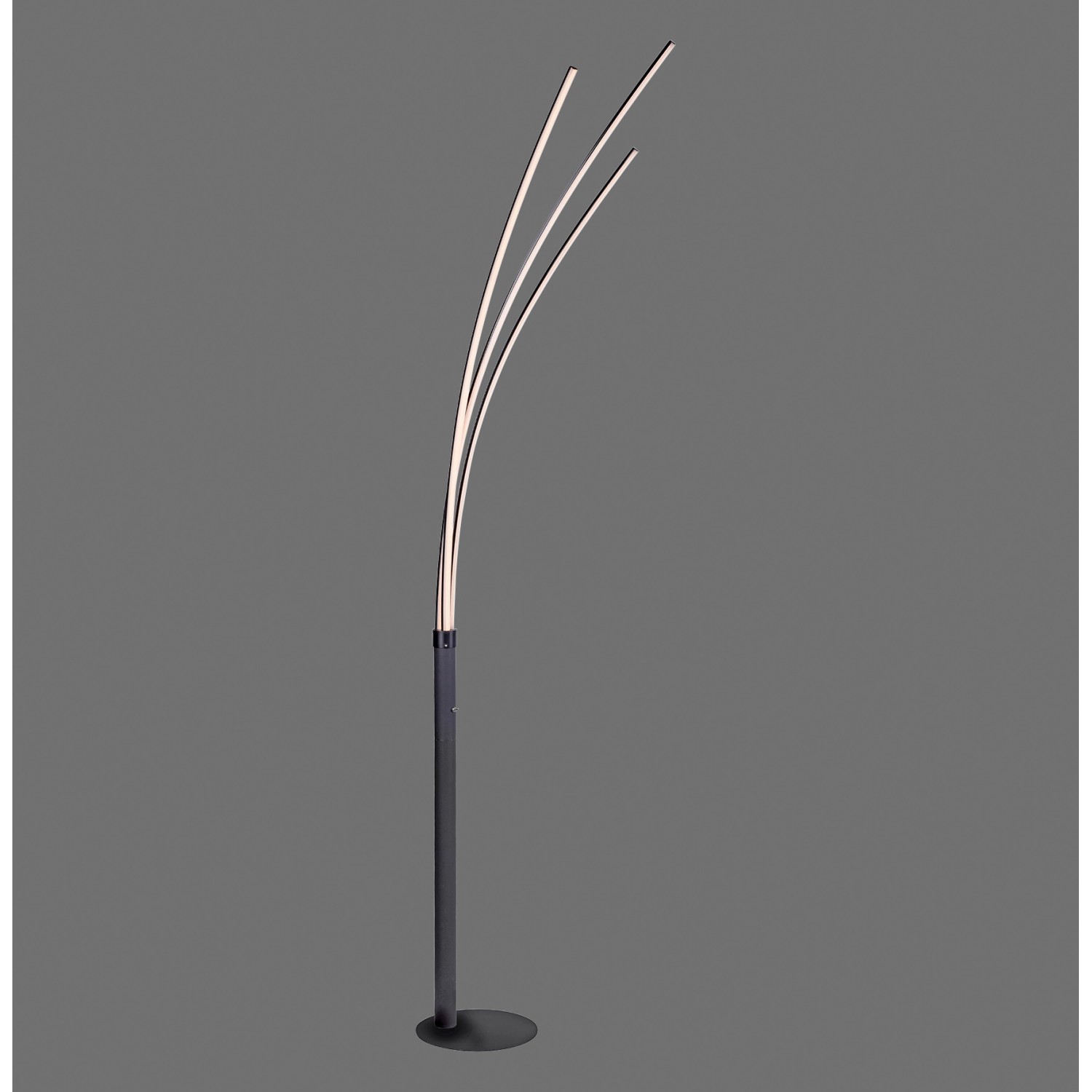 Just Light. Stehleuchte Maja Schwarz 80 x 215 cm Just Light. Stehleuchte Maja Schwarz 80 x 215 cm von Just Light.