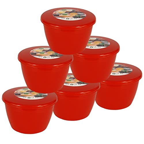 Just Pudding Basins Rot 0,5 Pint 280 ml Dampfbecken, lebensmittelecht, BPA-freier Kunststoff, 6 Stück rote Dampfpuddingschalen und rote Deckel (1/2 Pint) von Just Pudding Basins