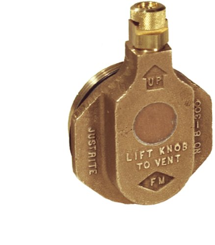 Justrite Évent de Tambour Horizontal pour Applications à Base de Pétrole, Bonde de 2 Pouce von Justrite