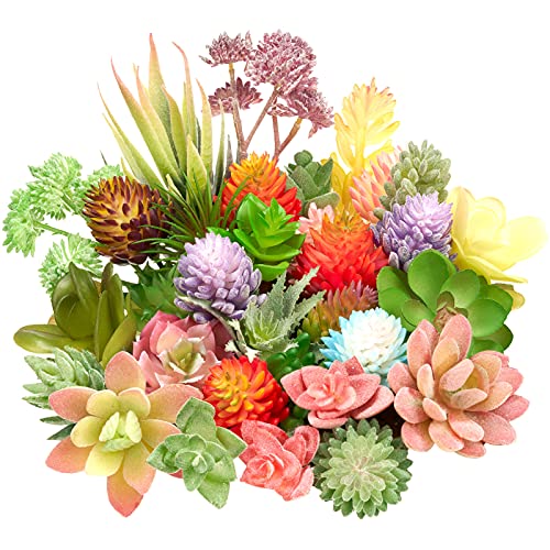 Jutom Künstliche Mini-Sukkulenten, ungetopft, realistische künstliche Sukkulenten, Bunte künstliche Sukkulenten, kleine Kaktuspflanzen für Garten, Blumen, Küche, Heimdekoration (klassischer Stil), 32 Jutom Künstliche Mini-Sukkulenten, ungetopft, realistische künstliche Sukkulenten, Bunte künstliche Sukkulenten, kleine Kaktuspflanzen für Garten, Blumen, Küche, Heimdekoration (klassischer Stil), 32 von Jutom