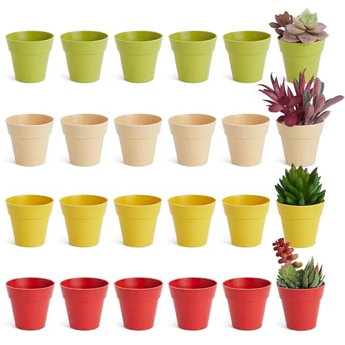 Mini Plastik-Blumentöpfe für Sukkulenten, Kräuter, 24 Stück, grün, gelb, rot, beige, Boden-Durchmesser 4 cm von Juvale