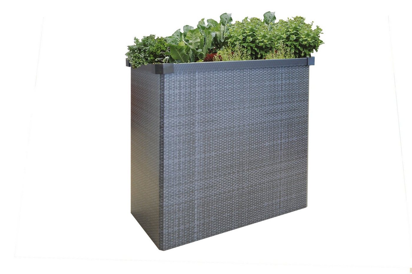 Juwel Hochbeet Juwel Falthochbeet Easy Garden Rattan grau, Größe 80x40x75 cm von Juwel