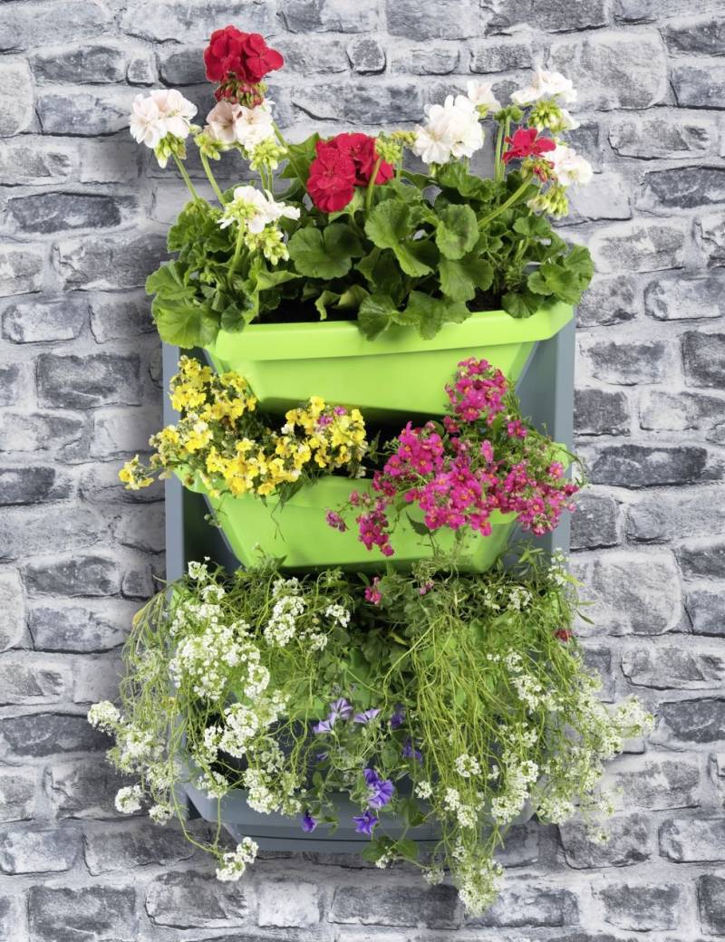 Juwel Vertical Garden Grundelement 69 x 48 x 24 cm titan-limette von Juwel