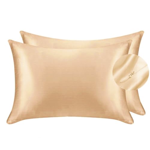 Seidiger Luxus-Satin-Kissenbezug für Haar und Gesichtshaut, um Falten zu verhindern, versteckter Reißverschluss, Champagner, Standard (50 x 75 cm), 2 Stück von Juwenin Home