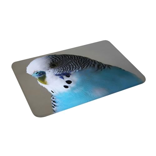 Juxweku Badematte Ornithologie Cooler Wellensittich Weich Badteppich Badezimmerteppich Duschvorleger für Badezimmer Deko,40 x 60 cm Juxweku Badematte Ornithologie Cooler Wellensittich Weich Badteppich Badezimmerteppich Duschvorleger für Badezimmer Deko,40 x 60 cm von Juxweku