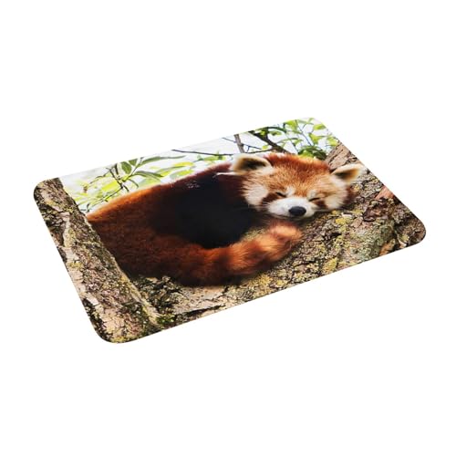 Juxweku Badematte Süßer Panda Weich Badteppich Badezimmerteppich Duschvorleger für Badezimmer Deko,40 x 60 cm Juxweku Badematte Süßer Panda Weich Badteppich Badezimmerteppich Duschvorleger für Badezimmer Deko,40 x 60 cm von Juxweku