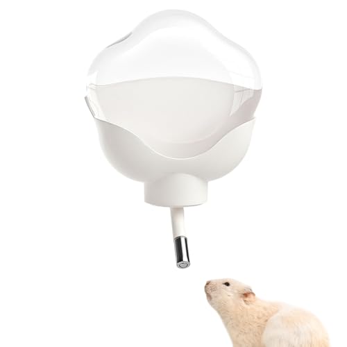 Anhängerkupplungskuppler - 2 Zoll Schnellverriegelung für sichere Schleppteuer | -Proof -Anhängerkupplungen Abdeckung, sicherer Stecker für Automobilgaragen täglich Wartungstraße RV -LKW -Bootszu Anhängerkupplungskuppler - 2 Zoll Schnellverriegelung für sichere Schleppteuer | -Proof -Anhängerkupplungen Abdeckung, sicherer Stecker für Automobilgaragen täglich Wartungstraße RV -LKW -Bootszu von Jvjggag