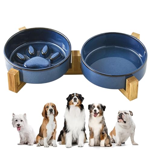 Jvjggag Futternapf für Hunde – Niedliche -Keramik Slow Feeder und Wassernapf Set – Haustierbedarf für Katzenfütterung, Bewässerungsbedarf, Haus, Hof, Garten Jvjggag Futternapf für Hunde – Niedliche -Keramik Slow Feeder und Wassernapf Set – Haustierbedarf für Katzenfütterung, Bewässerungsbedarf, Haus, Hof, Garten von Jvjggag