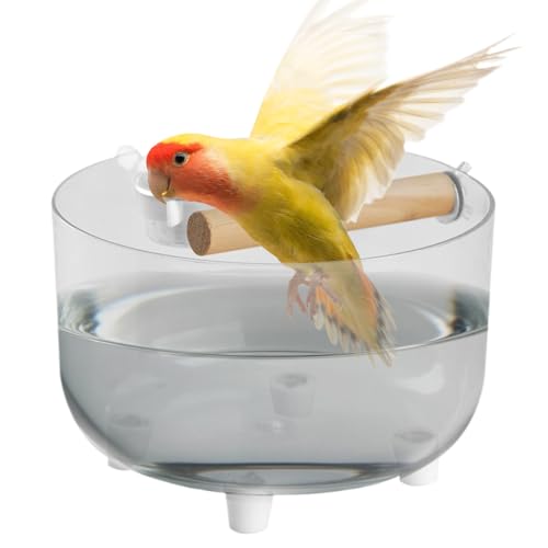 Jvjggag Vogeltrainingsständer,Trainingssitzstange mit abnehmbarem Edelstahl-Futternapf - Vogel Toilette Für Mittelgroße Und Kleine Vögel Wie Sittiche Und Finken Jvjggag Vogeltrainingsständer,Trainingssitzstange mit abnehmbarem Edelstahl-Futternapf - Vogel Toilette Für Mittelgroße Und Kleine Vögel Wie Sittiche Und Finken von Jvjggag