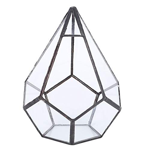 Geometrische Form von Glasanlagen Pflanzer für Sukkulenten mit Dekoration Geometrische Form von Glasanlagen Pflanzer für Sukkulenten mit Dekoration von Jxngery