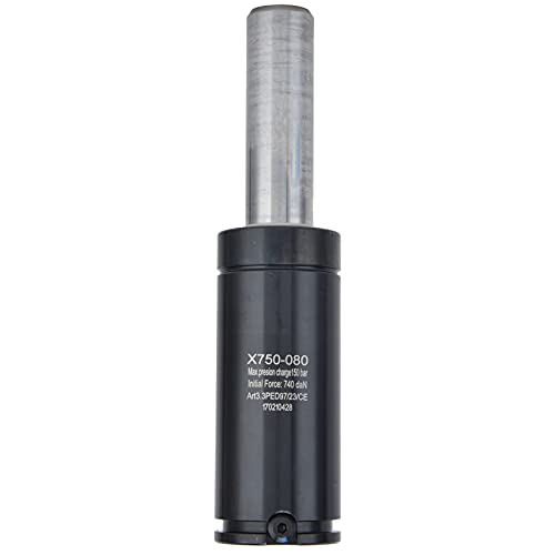 Stickstoffgasfeder Mini Zylinderstempel Stempelkomprimiertes Lagerstab 750 Serie für Metallbearbeitung (YX750-016) von Jxngery