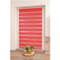 K-HOME Doppelrollo "Maringa Klemmfix" Lichtschutz ohne Bohren in verschiedenen Größen und 11 Farben erhältlich K-HOME Doppelrollo "Maringa Klemmfix" Lichtschutz ohne Bohren in verschiedenen Größen und 11 Farben erhältlich von K-Home