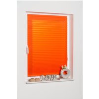 K-HOME Plissee "COMO" Lichtschutz freihängend K-HOME Plissee "COMO" Lichtschutz freihängend von K-Home