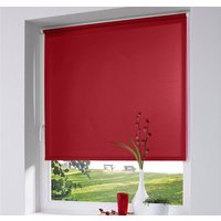 K-HOME Seitenzugrollo "Thermo Klemmfix-Rollo" verdunkelnd energiesparend ohne Bohren 1 Stück K-HOME Seitenzugrollo "Thermo Klemmfix-Rollo" verdunkelnd energiesparend ohne Bohren 1 Stück von K-Home