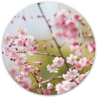 Alu-Dibond-Poster Rund Metalloptik Wandbild Kirschblüten Rosa Blüten florale Cherry Blossom Ø 30cm - rosa von K&L WALL ART