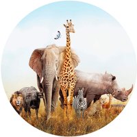 K&L Wall Art Vliestapete »Runde Vliestapete«, Afrika Tiere Safari Waldtiere, mehrfarbig, matt - bunt von K&L WALL ART