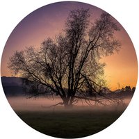 K&L Wall Art Vliestapete »Runde Vliestapete«, Cuadrado Nebel Baum des Lebens, mehrfarbig, matt - bunt K&L Wall Art Vliestapete »Runde Vliestapete«, Cuadrado Nebel Baum des Lebens, mehrfarbig, matt - bunt von K&L WALL ART