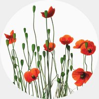 K&L Wall Art Vliestapete »Runde Vliestapete«, Kadam Rote MohnBlumen Mohn, mehrfarbig, matt - bunt von K&L WALL ART