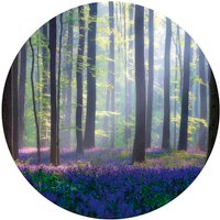 K&L Wall Art Vliestapete »Runde Vliestapete«, Wald GlockenBlumen Lichtung, mehrfarbig, matt - bunt von K&L WALL ART