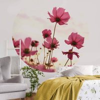 Runde Fototapete Blumen Tapete Pinke Kosmeen Vliestapete Wohnzimmer Wandbild ø 140cm - rosa von K&L WALL ART