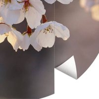 Runde Fototapete Kirschblüten Tapete Baum Knospen Vliestapete Wandbild ø 140cm - grau von K&L WALL ART