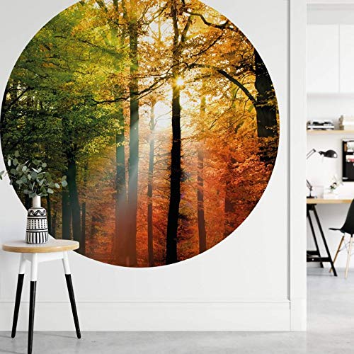 Fototapete Vliestapete Tapetenpaneele Rund Goldener Herbst Wald Natur Sonne bunt Laub Bäume Fotografie inkl. Schablone Ø140cm von K&L Wall Art