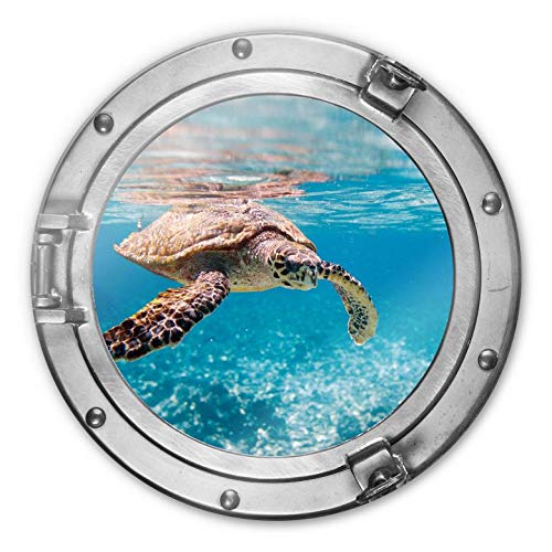 Schildkröte auf Reisen Glasbild rund Wellness Badezimmer Glasposter WC Wanddeko Maritime Bilder von K&L Wall Art