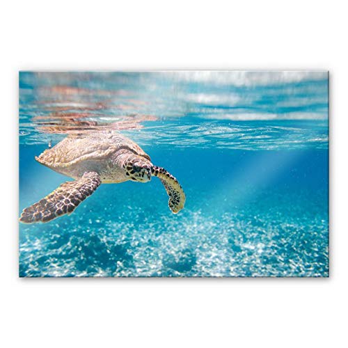 Badezimmer Acrylglasbild Schildkröte im Meer Wohnzimmer Spritzschutz aus Glas Deko Ozean Bilder 120x75cm von K&L Wall Art