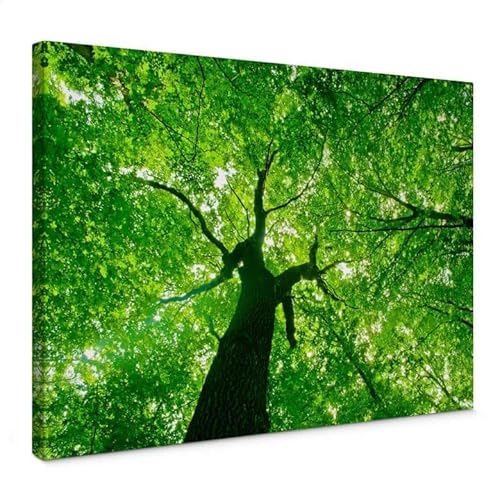 K&L Wall Art Baum des Lebens Leinwandbild grüne Baumkrone Kunstdruck auf Leinwand Natur Freiheit Affirmationen Wandbild in Handarbeit gedruckt Holz Bilderrahmen von K&L Wall Art