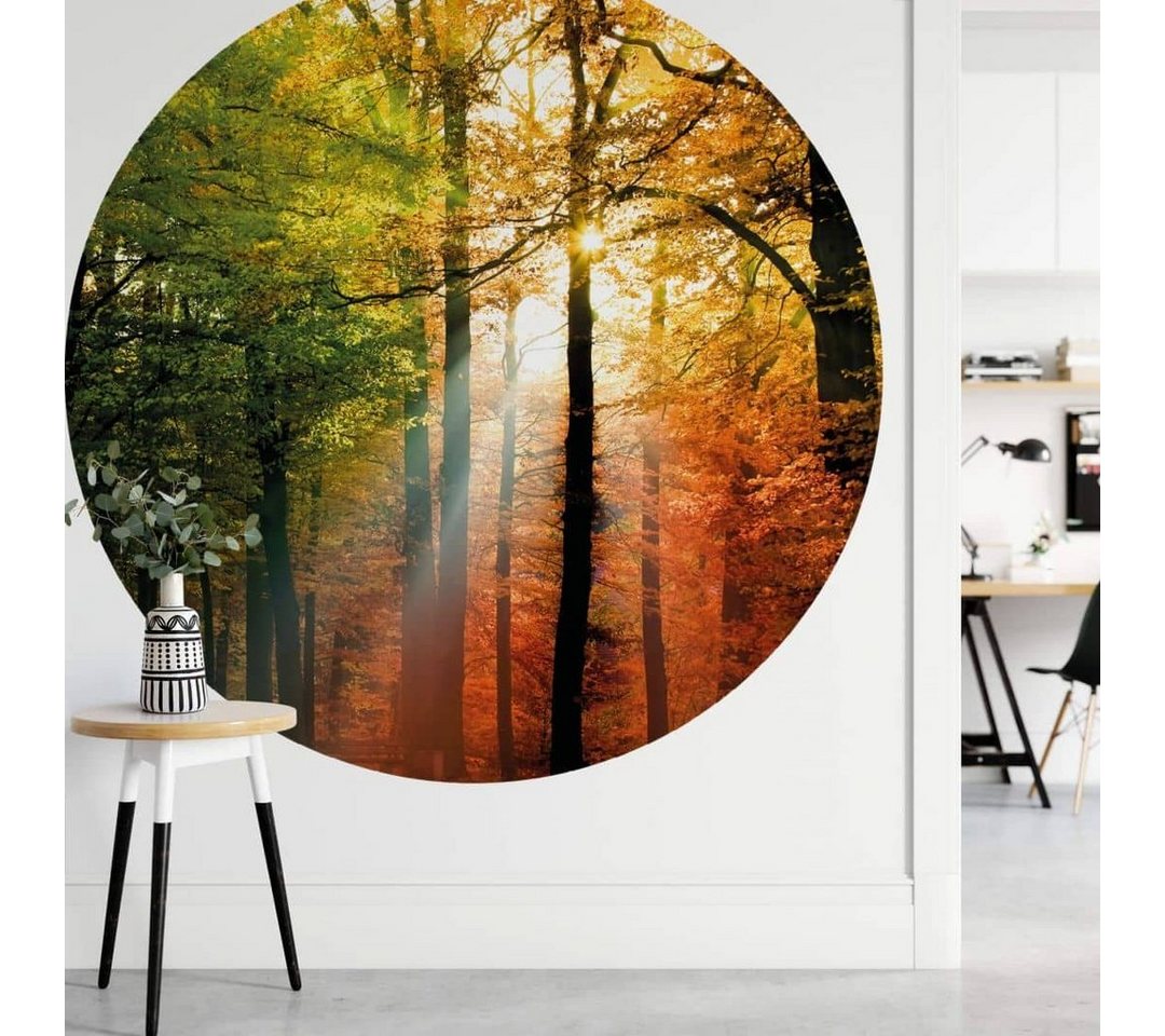 K&L Wall Art Fototapete Fototapete Goldener Herbst Natur Wald Vliestapete Rund Tapete, Herbstgold Tapete von K&L Wall Art