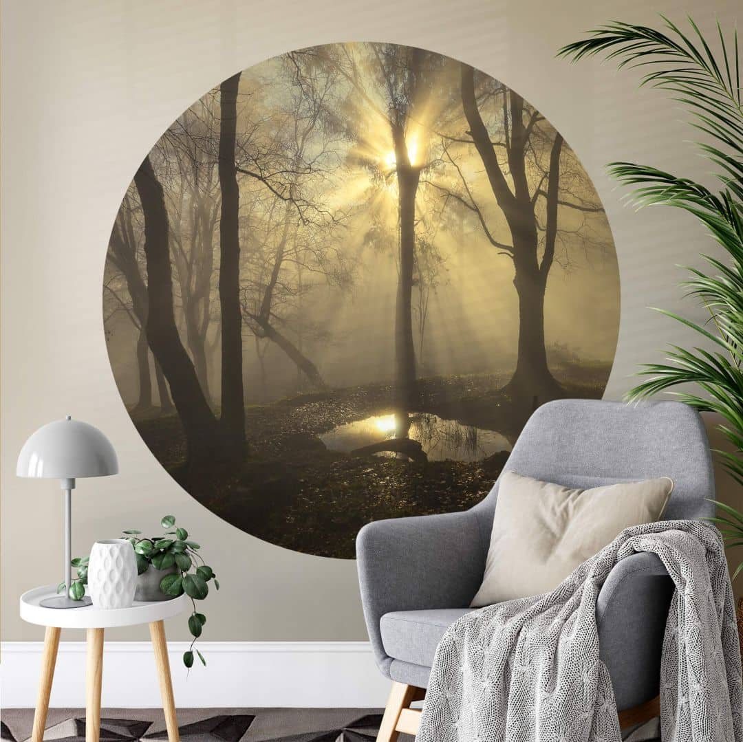 K&L Wall Art Fototapete Fototapete Cuadrado Wald Lichtung Natur Wanderung Vliestapete Rund, Abenddämmerung Tapete von K&L Wall Art