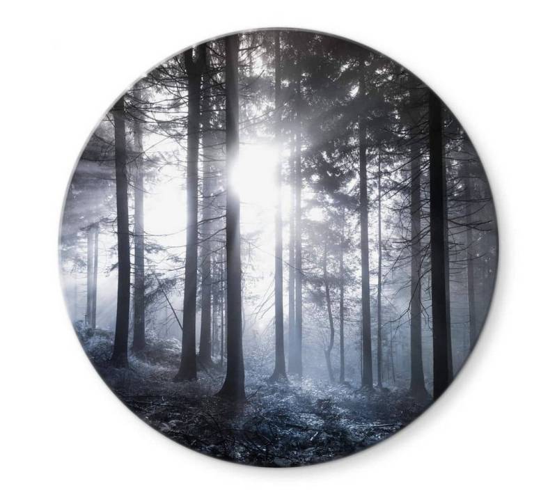 K&L Wall Art Gemälde Glas Wandbild Rund Glasbild Fotografie Sonnenstrahlen Wald, Wandschutz Deko Bilder von K&L Wall Art