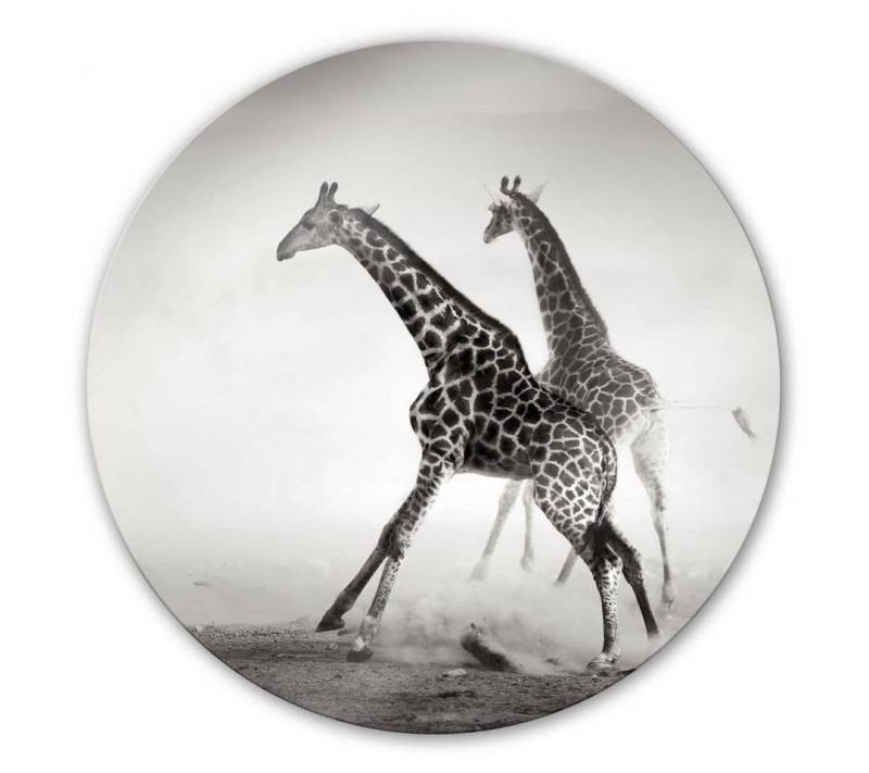 K&L Wall Art Gemälde Glas Wandbild Rund Glasbild Giraffen Safari Tiere Afrika Natur, Wandschutz Deko Bilder von K&L Wall Art