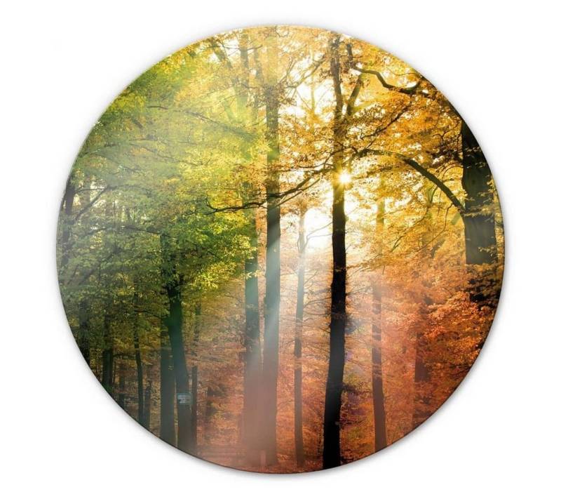 K&L Wall Art Glasbild Glas Wandbild Rund Glasbild Poster Goldener Herbst Blätterwald, Wandschutz Deko Bilder von K&L Wall Art