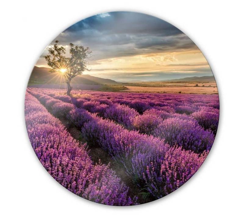 K&L Wall Art Glasbild Glas Wandbild Rund Glasbild Lavendelblüte in der Provence, Wandschutz Deko Bilder von K&L Wall Art