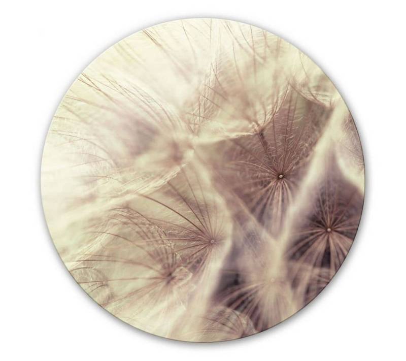 K&L Wall Art Glasbild Glas Wandbild Rund Glasbild bedruckt Pusteblume Fotografie Blume, Wandschutz Deko Bilder von K&L Wall Art